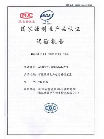 YD-8CS test report