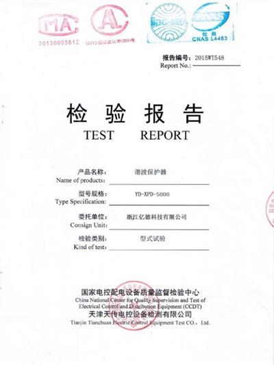 YD-XPD-5000 inspection report